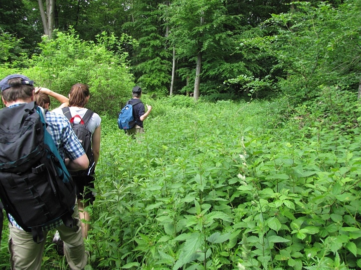 Wanderung 2013_011.jpg